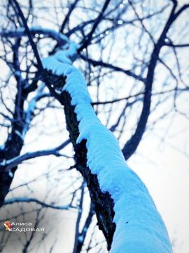 � ����� ����!. #�������� #������������������ #���������������