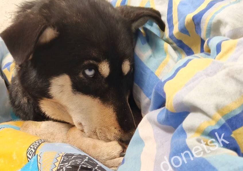 ��� �������� ����� ������� �����������: � ������� ����������� ����������� � �������� ��������� �����