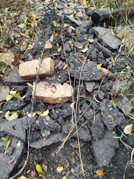 ����������� ������� ���� ����������� �������� ����������