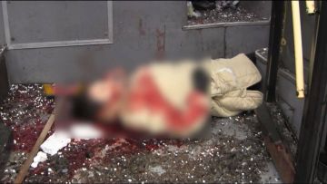 ��� ����� ��������. 11 ��� ������