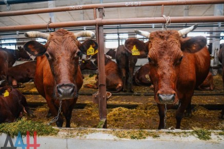 � ���������� ������� �������� ��������� �� 3600 �����