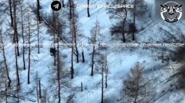 �������� �������: ����� �� ��� ������