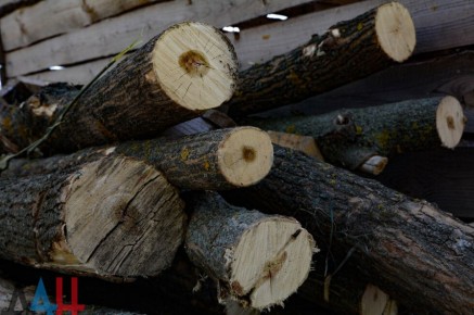 ����� �� ���������� ����� � ��� � 2025 ���� �������� 22,7 ��� ������