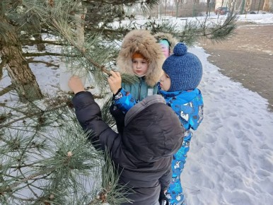 ������������� ����� ���������� ���� ����� ������� ������ � ����� ������