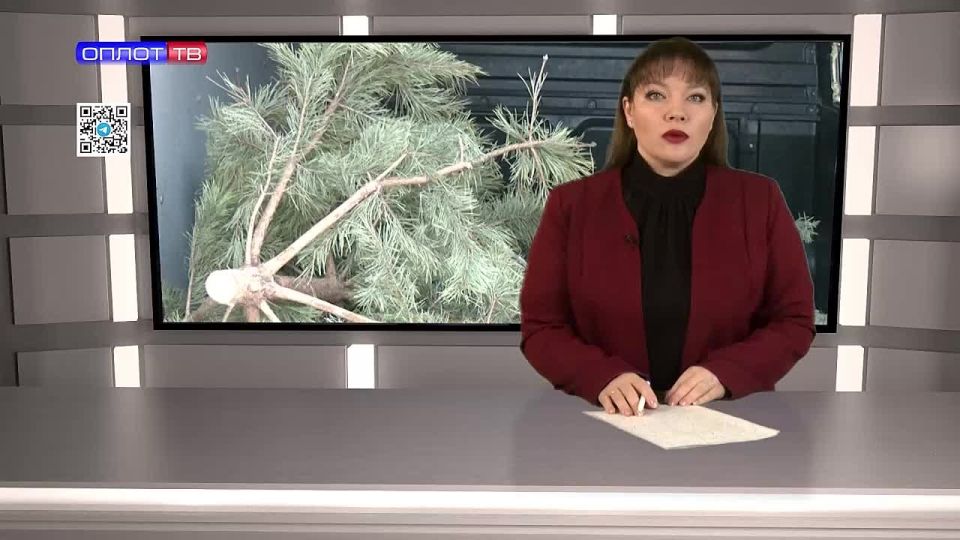 ������� ����������: ��� ���������� ���� ����� ���������� ���������� �������� �����?