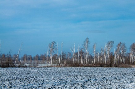 ������ ������� � ��� ��������� � ������������������ ���������