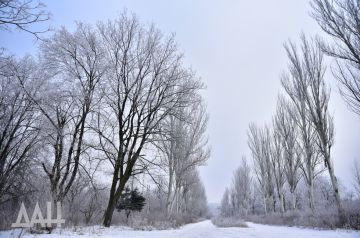 ������ ������. ���� �������� � ��� ����� ������� � ��������