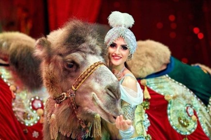 �������-���, ��������� �����-�������� � ������� ���� ���������� ����: ����� ����������� � 26 ������ �� 1 ������� 2026