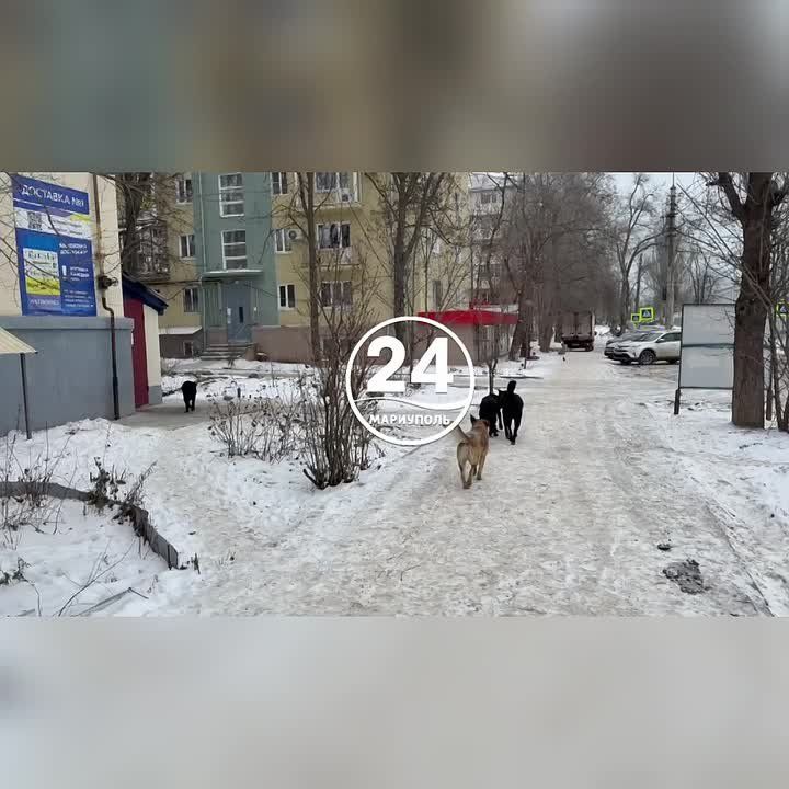 � ��������� �������� �������� �������� �������� �������� ������