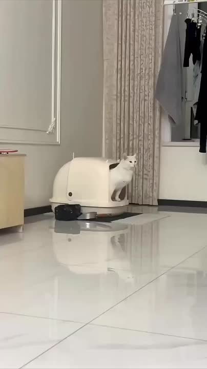 Адаптация к современным технологиям выглядит примерно так: