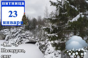 ��� ��� ��������:. 21 ������ � ���������� ��������� ����, ������, �����, ���������-����������� ���������, �� ������� ���������� , ������� �����, ������ ����� �� 18 �/� � ���, �� ��������� ��������� ���� ����, ������ ����� ��...