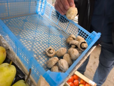 ������� ��������� �������� ����������� �������������� ������ ��������� � �������� �������� ������������� ����������� �������������� ������ ������� �������� ���� � �. ������� �� ��. ����������, 47 � �������� ���������� �...