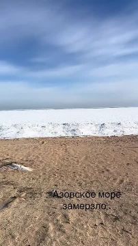 ���� ������� �������� ���� ������� ������� �� ��������� 7 ���