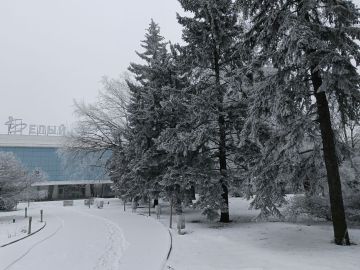 24 ������ � ���������� �������, ����, ������ � ��������