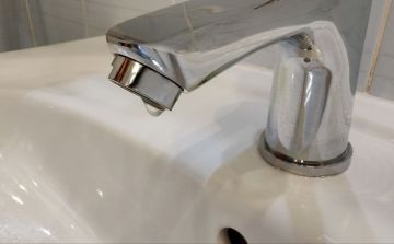 "���� ����" ����������: 24 ������ ������������� � ������ �� ������� �������� �� �����