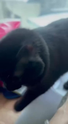 ������� ����� ��������� �� ������� � ���������� ���������� ������ - ���� ������� � ��������� ����