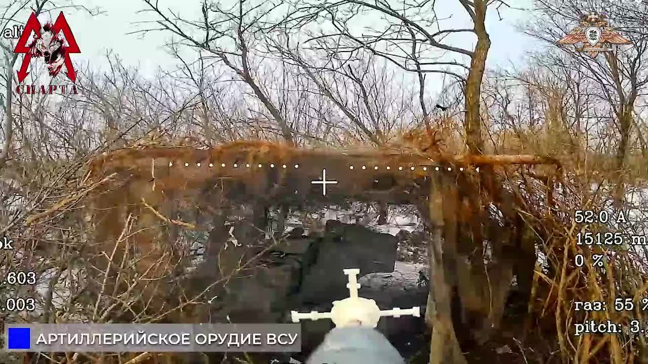 Спарта выжигает Д-20 и «Паладин» ВСУ в Васильевке