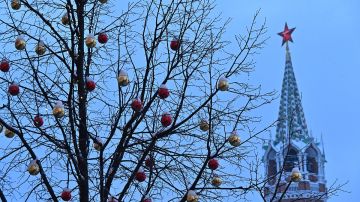 ������ ��������� ������������ ����� ����������: �� ���� ���� ���������� ������