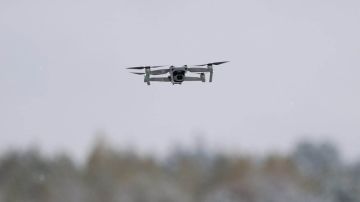 ������� ������ �� ����������� ���������� ���� � ���������� �������