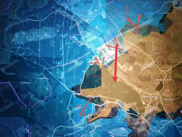 ���� �������: �������� �����������. ������������� ��� "�����" ���������� ����������� � ����������� �����