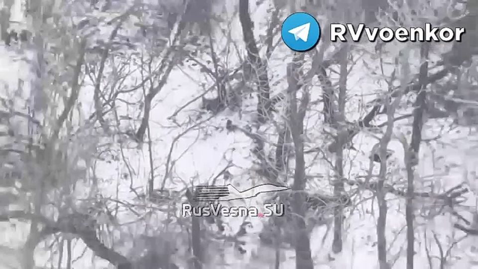 «тважные» уничтожают контратакующую пехоту и технику ВСУ под Покровском и в Днепропетровской области