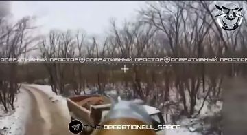 1. ��������� �������� ������������ �������� ��������� �� ���������� (�����) � ������