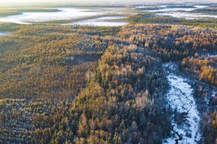 ������������ ���� �������� ��� ������ � ����������� �������