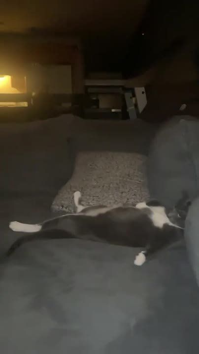 ������� ����� ����� ������ � ������� � �������� ���� ���� ���