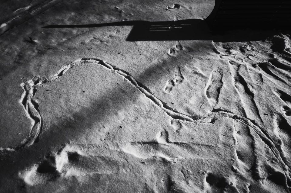 ����� ��������: ����. ����. ����