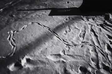 ����� ��������: ����. ����. ����