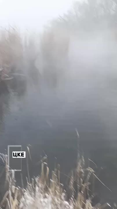 #��������. ���������� ������! ��������� ���� �� ����� ���