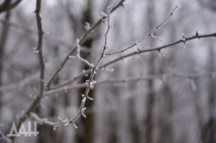 ������ � ��� ���������� ��� �� �������. ���� �������