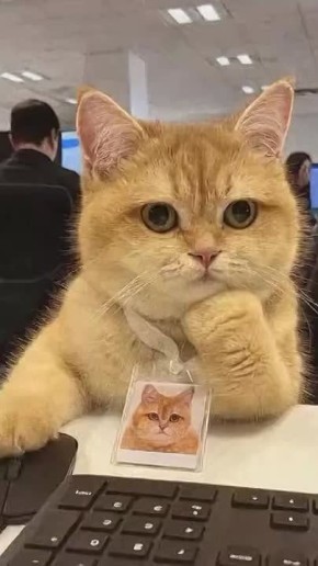 ���� ������� ���� ������������!