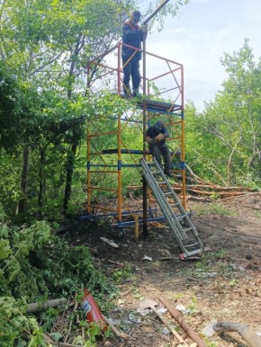 � ���� ���� ������ ����� ����������: � 2025-� � ��� ���������� � ���� 1938 �����