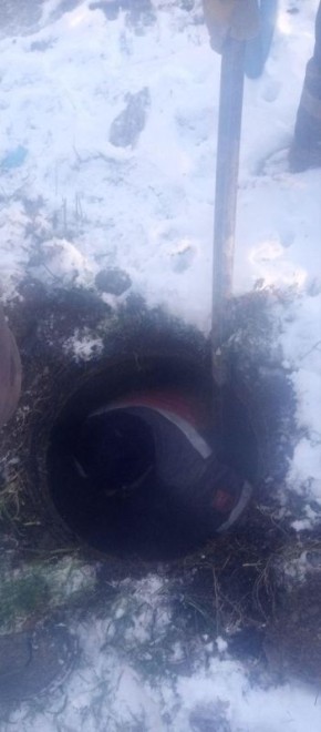 ������� ���������� ������������ ������������ ������ � �����������