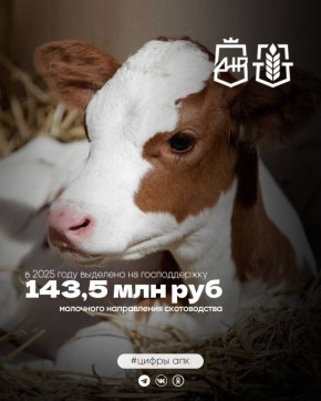 � 2025 ���� � ������ ���������� ��� ��������������� ��������� �� �������� ��������� ������������ ���� ���������� 143,5 ��� ������