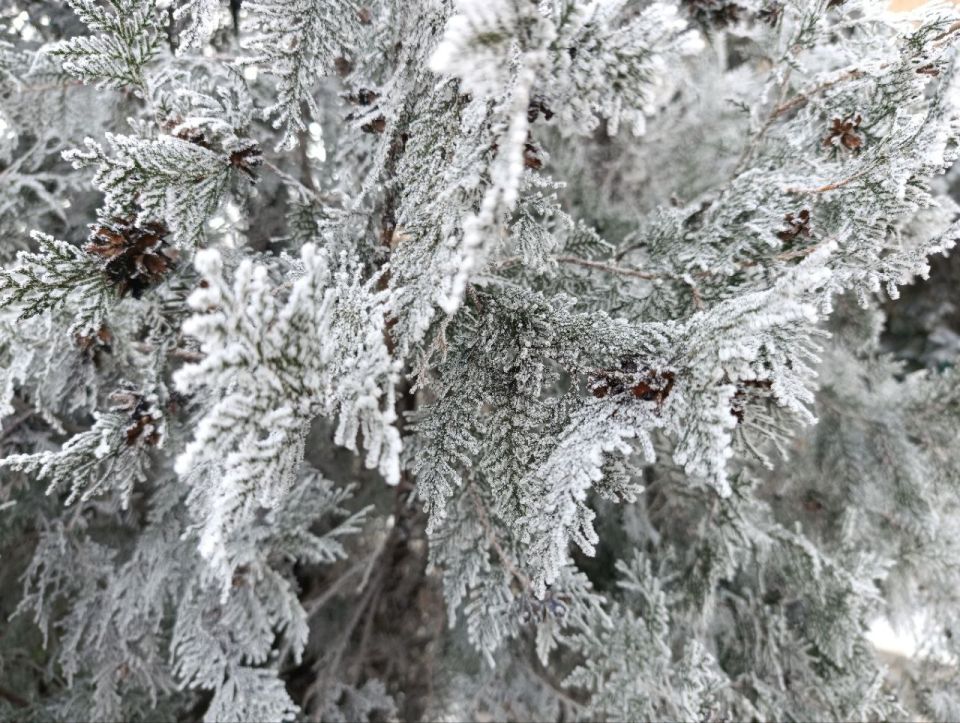 ����� �����: ������ ����, ������������� ������������� �����!