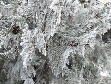 ����� �����: ������ ����, ������������� ������������� �����!