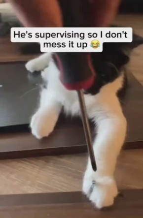 ����������� �������, � ������� � �������� ����� ����