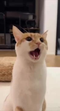 ������! �����, ��� ���� ������������ ������, �� �������� ��� ����! � ���, ����������, �� ������: