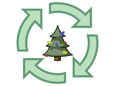 Акция «Елочный круговорот»