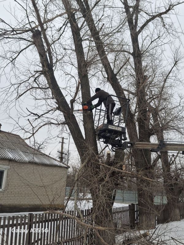 ���������� ��������: ������������� ������� �������: ��������� ������� � ���� ��������� ���������