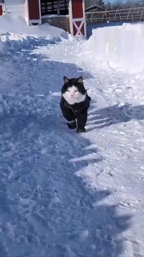 �� ����� ����� �������� ���� ���� � ����� ������