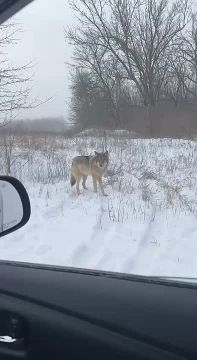 ������� ���� ����� � ����� � �������