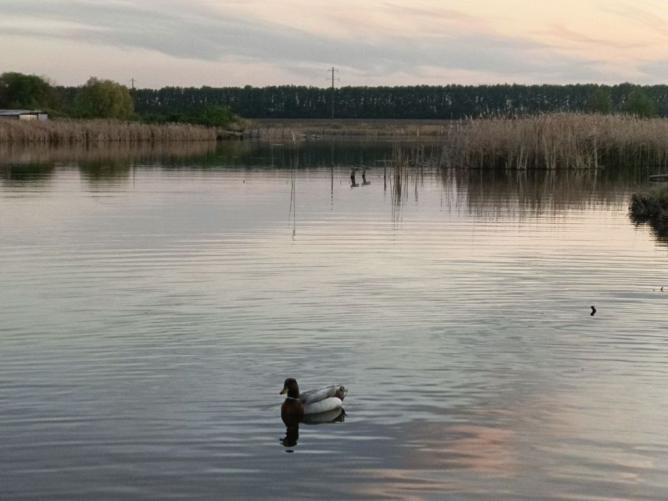 � 2026 ���� � ��� ������� ������ 33 �������