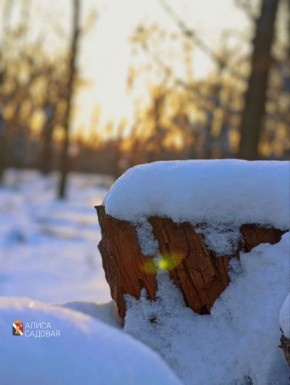 ������ ����, ��������!. #�������� #������������������ #���������������