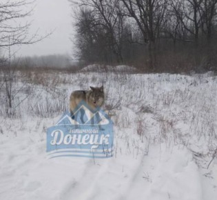 ����� �������� � ������� �� ����� ��������