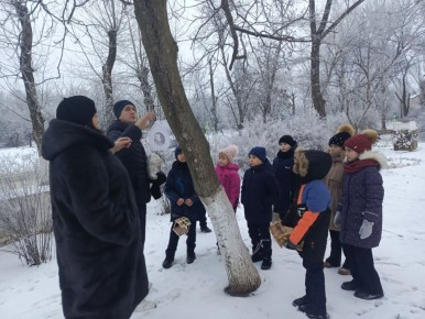 Партия добрых дел. Депутат Енакиевского городского совета фракции Единая Россия Виктория Рожкова приняла участие в ежегодной акции «Покормите птиц зимой», которая прошла в рамках партийного проекта «Защита животного мира»