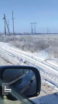 ������ ������������ ������� ��������: �������, �� ��������