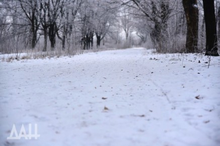 ������� ������ �� ����� ��� ������ ������ ��� ������� ������� � 7-8 ��